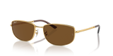 Arista Gold / Brown Polarized (001/57)