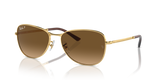 Arista Gold / Brown Polarized (001/M2)