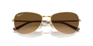Arista Gold / Brown Polarized (001/M2)