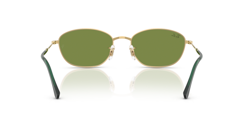Ray-Ban RB3749 in Arista Gold / Green (001/4E) - Temple Detail
