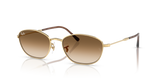 Arista Gold / Clear Gradient Brown (001/51)