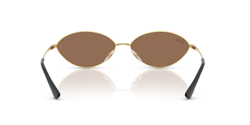 Ray-Ban KAI in Gold - Temple Detail