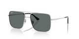Silver / Dark Grey Polarized (003/81)