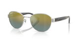 Silver / Gold Polarized+ (003/J0)