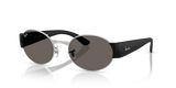 Silver / Dark Grey (003/B1)