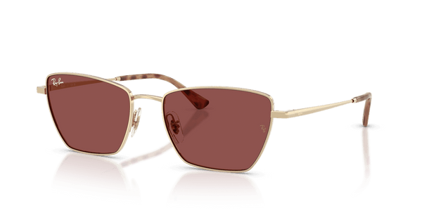 Ray-Ban RB3783