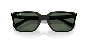 Silver / Dark Green (003/71)