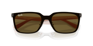 Silver / Dark Brown (003/73)