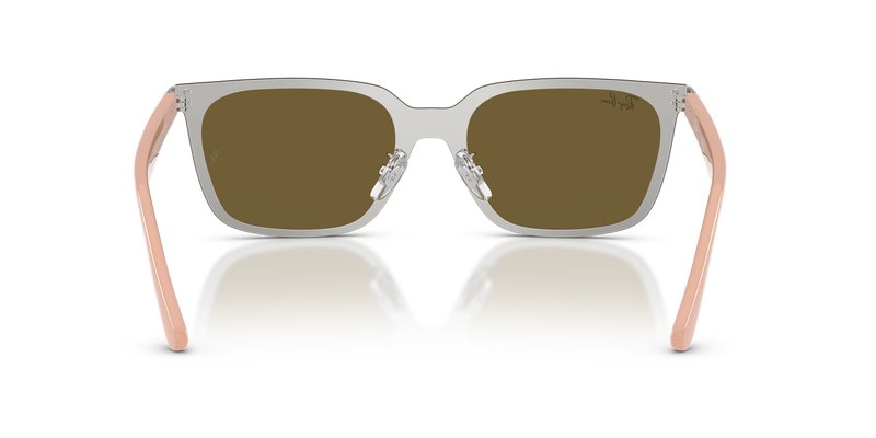 Ray-Ban RB3784D in Silver / Dark Brown (003/73) - Alternate View