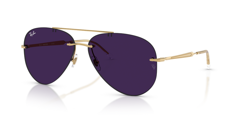 Ray-Ban RB3791 in Arista - Alternate View