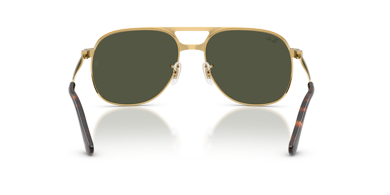 Ray-Ban BILL MAX in Arista - Temple Detail