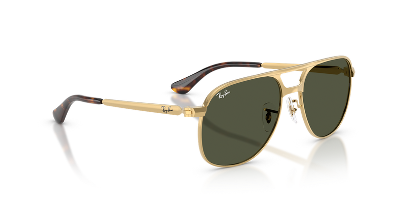 Ray-Ban BILL MAX in Arista - Alternate View