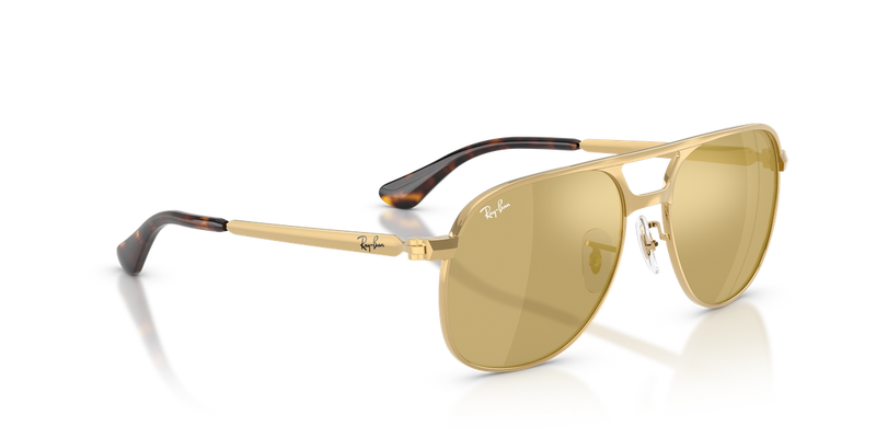 Ray-Ban BILL MAX in Arista - Alternate View