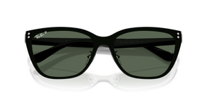 Silver / Polarized Green (003/9A)