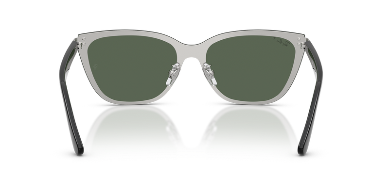 Ray-Ban RB3798D in Silver - Alternate View