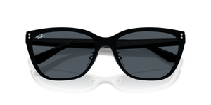 Silver / Dark Grey (928787)