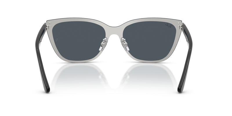Ray-Ban RB3798D in Silver - Alternate View