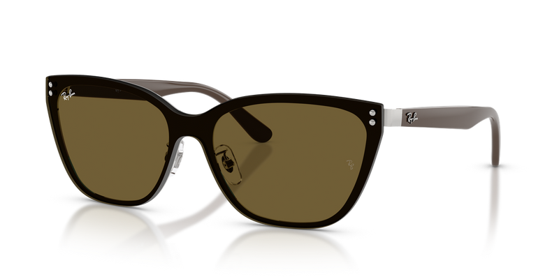 Ray-Ban RB3798D in Silver - Alternate View
