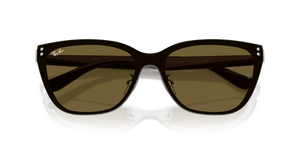 Silver / Dark Brown (928873)