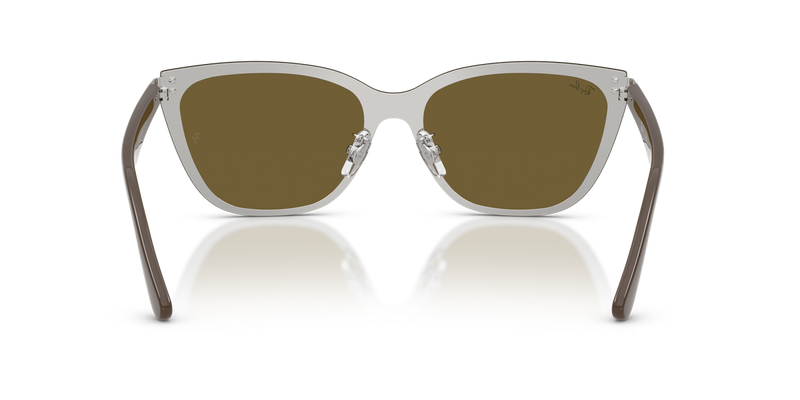 Ray-Ban RB3798D in Silver - Alternate View