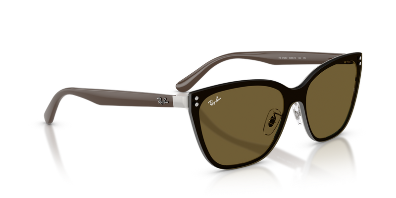 Ray-Ban RB3798D in Silver - Alternate View