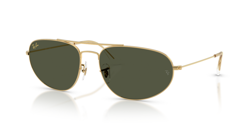 Ray-Ban RB3945 in Legend Gold / Green (919631) - Alternate View