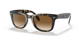 Light Havana / Light Brown Gradient (710/51)