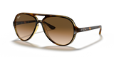 Light Havana / Light Brown Gradient (710/51)