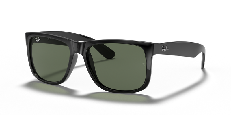 Ray-Ban JUSTIN in Black - Alternate View