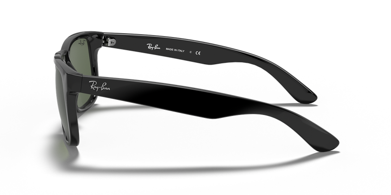 Ray-Ban JUSTIN in Black - Alternate View