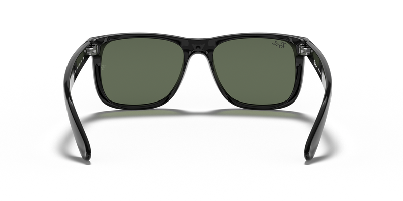 Ray-Ban JUSTIN in Black - Alternate View