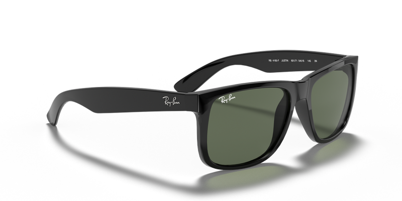 Ray-Ban JUSTIN in Black - Alternate View