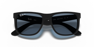 Rubber Black / Blue Polarized (622/2V)