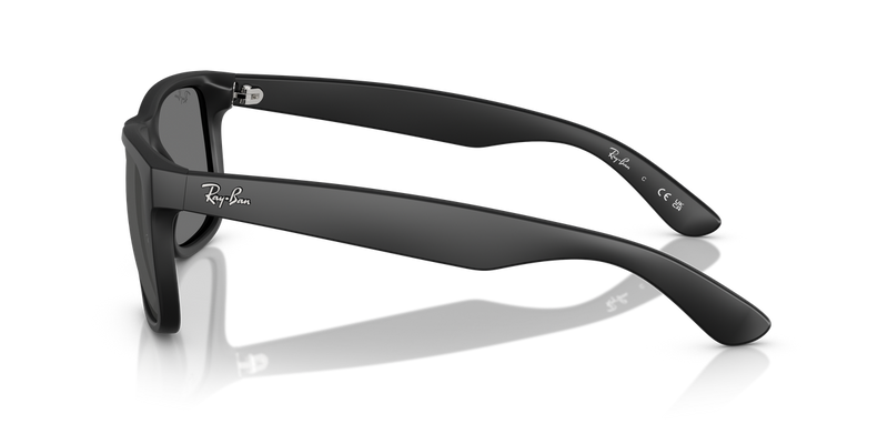 Ray-Ban JUSTIN in Rubber Black - Alternate View