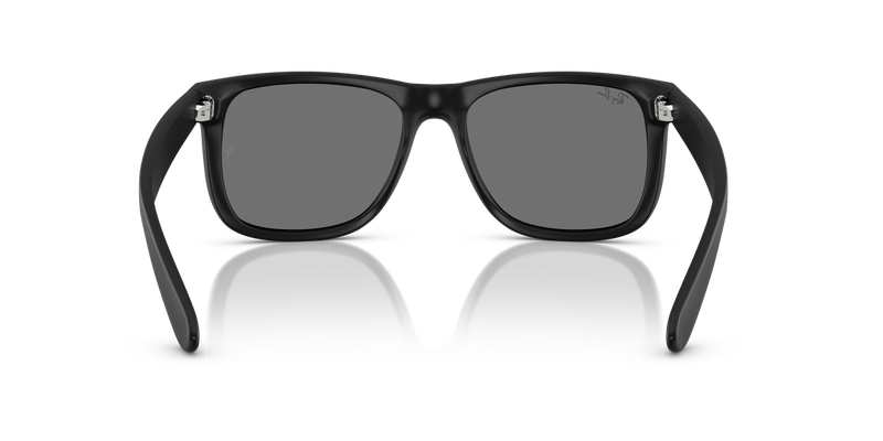 Ray-Ban JUSTIN in Rubber Black - Alternate View