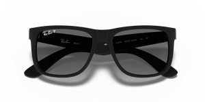 Rubber Black / Grey Polarized (622/T3)