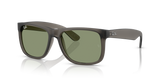 Opal Grey / Green (687382)