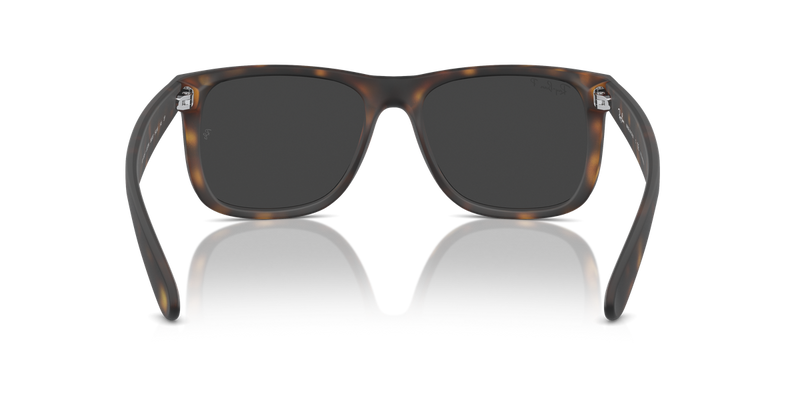 Ray-Ban JUSTIN in Havana - Alternate View