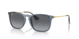 Transparent Blue / Grey Polarized (6592T3)