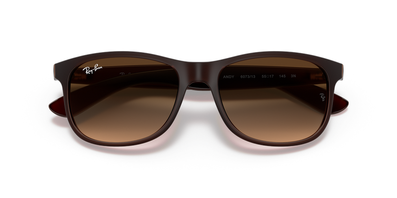 Ray-Ban ANDY in Brown / Brown Gradient (607313) - Alternate View