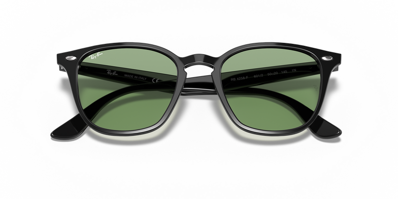 Ray-Ban RB4258F in Black - Alternate View