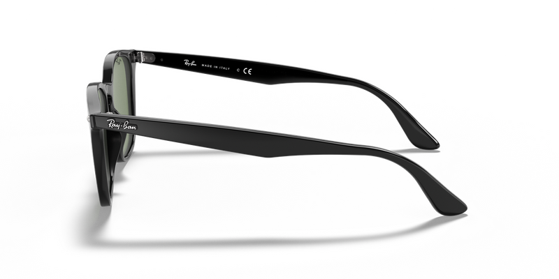 Ray-Ban RB4258F in Black - Alternate View