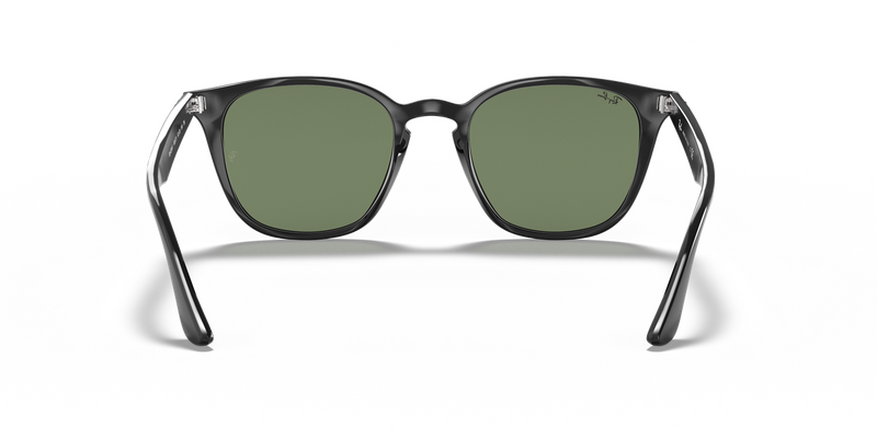 Ray-Ban RB4258F in Black - Alternate View