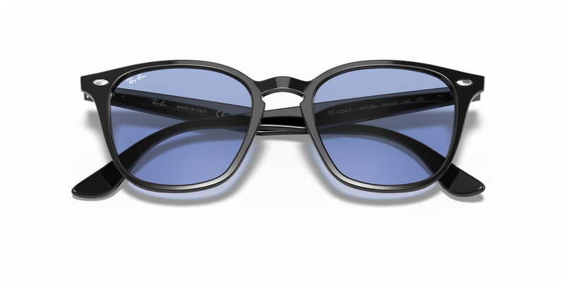 Ray-Ban RB4258F in Black - Alternate View
