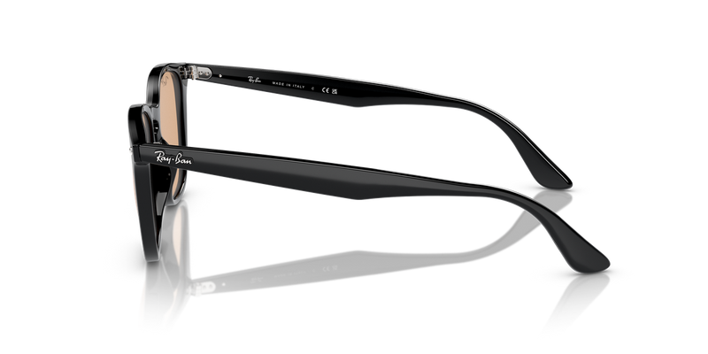 Ray-Ban RB4258F in Black - Alternate View