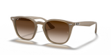 Beige / Brown Gradient (616613)