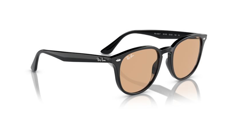 Ray-Ban RB4259F in Black / Brown (601/93) - Alternate View