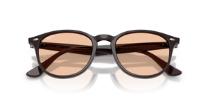 Transparent Brown / Brown (623193)