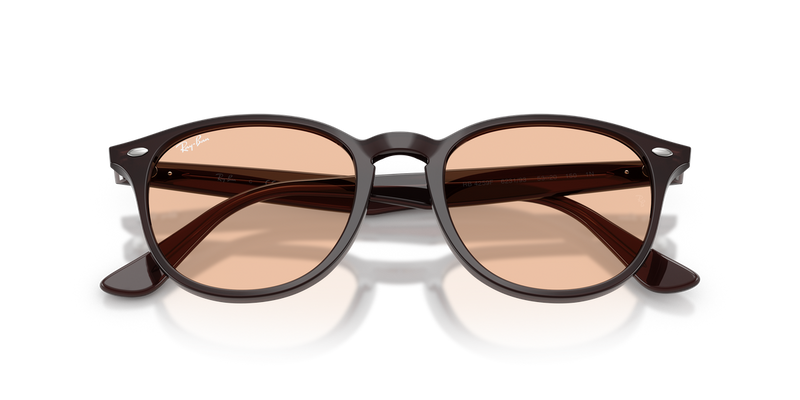 Ray-Ban RB4259F in Transparent Brown / Brown (623193) - Alternate View
