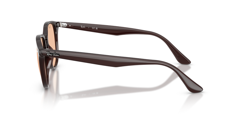 Ray-Ban RB4259F in Transparent Brown / Brown (623193) - Alternate View